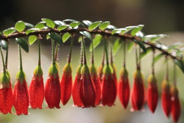 广州天河区9私人快速借钱网，轻松解决资金难题