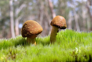 广州天河区9私人老板放款：轻松融资的秘密通道